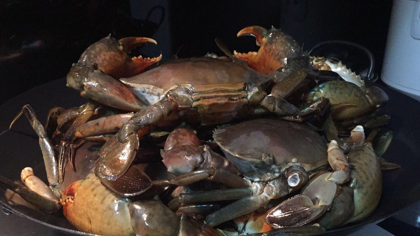 Live Sri Lanka Crab/斯里兰卡蟹