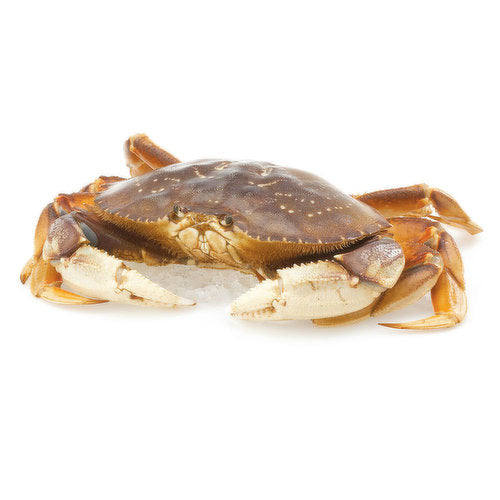 Dungeness Crabs/珍宝蟹