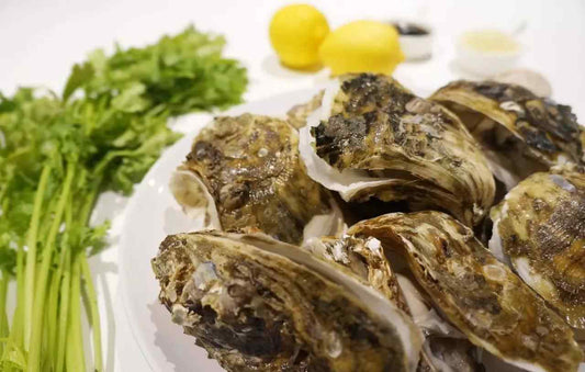 Live Canada Oysters/活加拿大生蚝