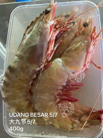 Wild King Prawn/ 野生九节虾