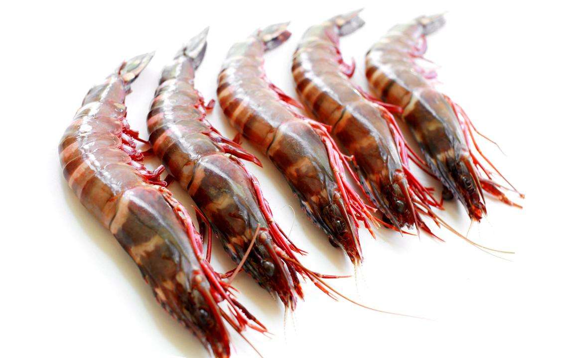 Wild King Prawn/ 野生九节虾