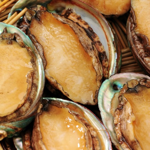 Abalone south africa/南非鲍鱼 (90g-110g)
