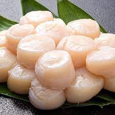 Hokkaido Scallop/北海道带子